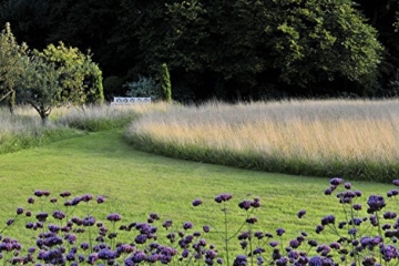 Meine Vision wird Garten: Ganzjährig attraktiv - mit nachhaltigen Pflanzkonzepten für jeden Standort - 2