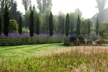 Meine Vision wird Garten: Ganzjährig attraktiv - mit nachhaltigen Pflanzkonzepten für jeden Standort - 5