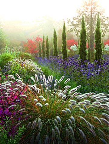 Meine Vision wird Garten: Ganzjährig attraktiv - mit nachhaltigen Pflanzkonzepten für jeden Standort - 8