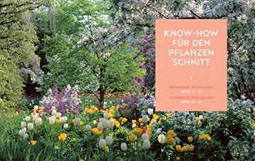 Pflanzenschnitt: So einfach geht's (GU Gartenspaß) - 4