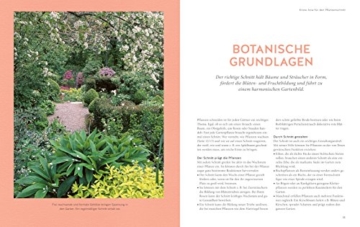 Pflanzenschnitt: So einfach geht's (GU Gartenspaß) - 5