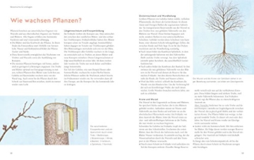 Pflanzenschnitt: So einfach geht's (GU Gartenspaß) - 6