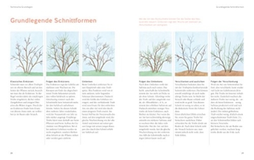 Pflanzenschnitt: So einfach geht's (GU Gartenspaß) - 7