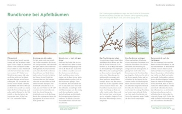 Pflanzenschnitt: So einfach geht's (GU Gartenspaß) - 8