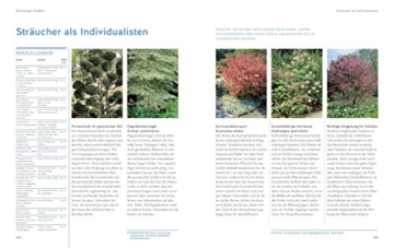 Pflanzenschnitt: So einfach geht's (GU Gartenspaß) - 9