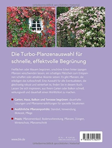 Turbo-Pflanzen: Schnelle, effektvolle Begrünung - 2