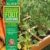 All New Square Foot Gardening, 3rd Edition, Fully Updated: MORE Projects - NEW Solutions - GROW Vegetables Anywhere - 1