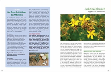 Antibiotische Heilpflanzen: Über 50 Pflanzen und ihre Wirkung - 3