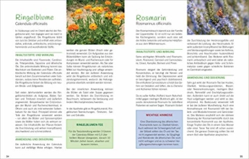 Antibiotische Heilpflanzen: Über 50 Pflanzen und ihre Wirkung - 4