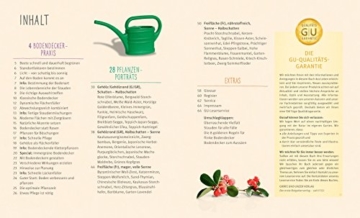 Flinke Bodendecker: Flächenfüller für jeden Gartenstandort (GU Pflanzenratgeber) - 3