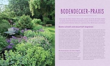 Flinke Bodendecker: Flächenfüller für jeden Gartenstandort (GU Pflanzenratgeber) - 4