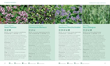 Flinke Bodendecker: Flächenfüller für jeden Gartenstandort (GU Pflanzenratgeber) - 8