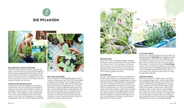 Mein Biobalkon: Gemüse, Kräuter, Obst: Ernteglück auf kleinstem Raum - 3