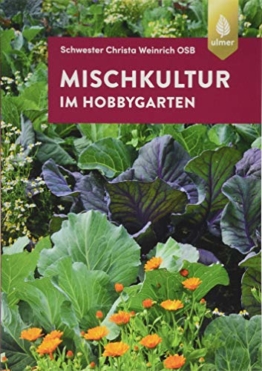 Mischkultur im Hobbygarten - 1