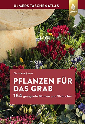 Pflanzen für das Grab: 184 geeignete Blumen und Sträucher - 1