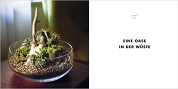 Pflanzen unter Glas: Stilvolle Ideen für Pflanzen-Terrarien, Kokedama und Wassergärten. - 3