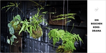 Pflanzen unter Glas: Stilvolle Ideen für Pflanzen-Terrarien, Kokedama und Wassergärten. - 5