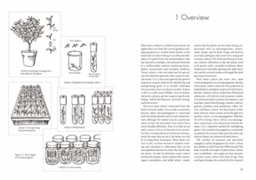 Plants from Test Tubes : An Introduction to Micropropagation - 6
