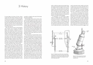 Plants from Test Tubes : An Introduction to Micropropagation - 8