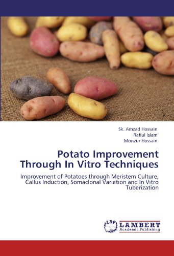 Potato Improvement Through In Vitro Techniques: Improvement of Potatoes through Meristem Culture, Callus Induction, Somaclonal Variation and In Vitro Tuberization - 1