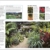 RHS Encyclopedia of Garden Design: Planning, Building and Planting Your Perfect Outdoor Space - 4