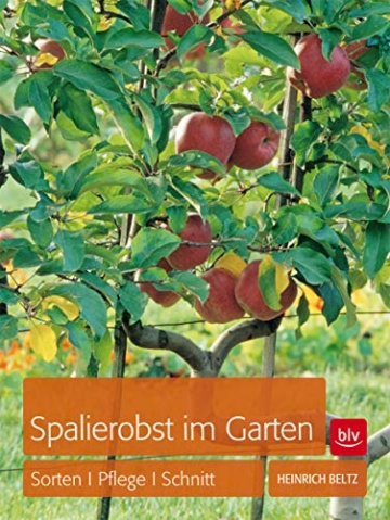 Spalierobst im Garten: Sorten, Pflege, Schnitt