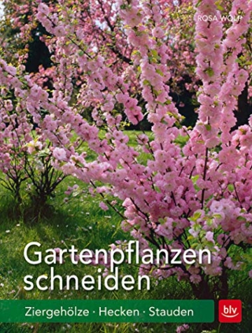 Gartenpflanzen schneiden: Ziergehölze, Hecken, Stauden