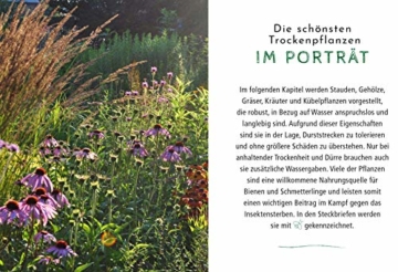 Die Schonsten Pflanzen Die Wenig Wasser Brauchen Fur Garten Balkon Und Terrasse 66 Trockenheitsvertragliche Stauden Straucher Graser Und Blumen Die Heisse Sommer Garantiert Uberleben Gabot Buchshop