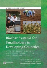 Scholz, S:  Biochar Systems for Smallholders in Developing Countries (World Bank Studies)