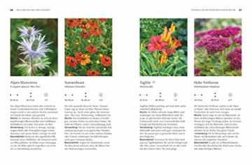 Robuste Schönheiten für den Garten: Wie Sie Ihren Garten für das Klima wandeln (Gartengestaltung)