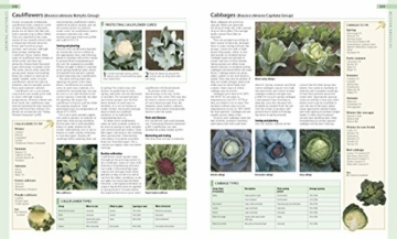 RHS Encyclopedia of Gardening