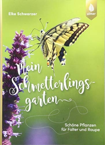Mein Schmetterlingsgarten: Schöne Pflanzen für Falter und Raupe