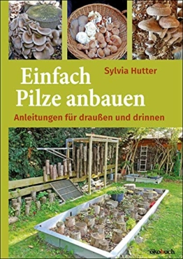 Einfach Pilze anbauen: Anleitungen für drinnen und draußen