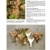 Handbuch Pilze: Speisepilze und ihre Doppelgänger - Klare Einordnung durch Tableau- und Detailfotos - Für Anfänger und Pilzsammler: Was Pilzsammler wissen müssen