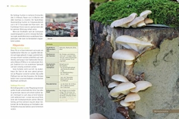 Pilze selbst anbauen: Das Praxisbuch für Biogarten, Balkon, Küche, Keller