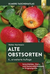 Alte Obstsorten: Schnittbilder, Stein- und Samenabbildungen in Originalgröße