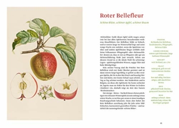 Die alten Obstsorten: Von Ananasrenette bis Zitronenbirne. Geschichten, Rezepte und Anbautipps