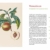 Die alten Obstsorten: Von Ananasrenette bis Zitronenbirne. Geschichten, Rezepte und Anbautipps