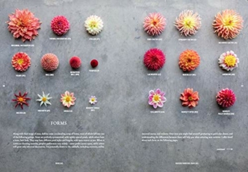 Floret Farm's Discovering Dahlias: A Guide to Growing and Arranging Magnificent Blooms