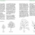 Praxis Baumpflege - Kronenschnitt an Bäumen: Kronenschnitt entsprechend der Baumentwicklung
