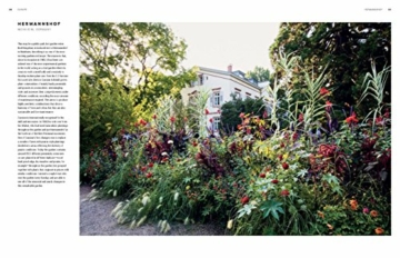 Takacs, C: Dreamscapes: Inspiration and Beauty in Gardens Near and Far