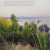 Takacs, C: Dreamscapes: Inspiration and Beauty in Gardens Near and Far