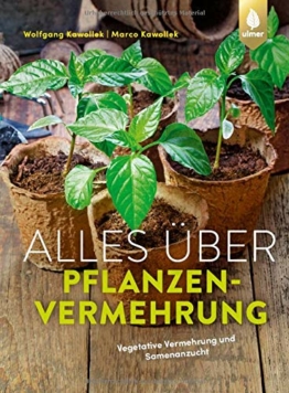 Alles über Pflanzenvermehrung: Vegetative Vermehrung und Samenanzucht