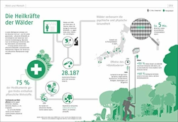 Das Waldbuch: Alles, was man wissen muss, in 50 Grafiken