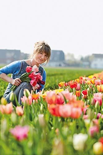 Fensterdeko: Florale DIY-Ideen durchs Jahr