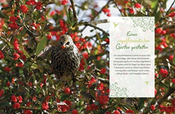 Mein vogelfreundlicher Garten: Die besten Ideen für neue Lebensräume. Mit 32 Porträts einheimischer Vogelarten und den 40 besten Vogelsträuchern und Vogelpflanzen