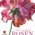 Rosen: Meisterin der Blumenkunst