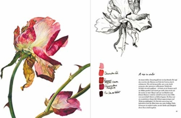 Rosen: Meisterin der Blumenkunst