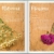 Trockenblumen: Natürlich schön: 40 Dekoideen mit selbst getrockneten Blumen von Bäuerinnen
