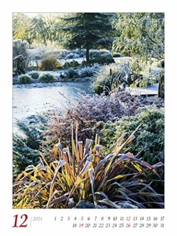 Gartenträume 2021 - Bild-Kalender 42x56 cm - Gärten und Parks - Landschaftskalender - Wand-Kalender - Alpha Edition - 13